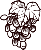 Bottega del Vino Italiano (Se.Fa. Snc)
