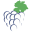 Vinolo