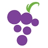 New Vine Church