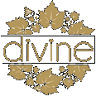 Divine Wine Shop