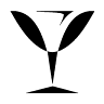 Vinotéka & Alkotéka STYLE