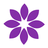 Violet Bloom's Fresh Flowers