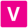 VIP car Ltd.