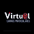 Virtual Carros