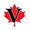 Visa Link