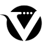 Visions Inc