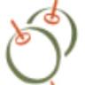 Vita Sana Olive Oil Company