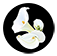 Vitt, Stermer & Anderson Funeral & Cremation Services
