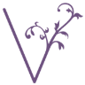 Viva Dental