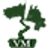 Vivai Masetti - Ilex Crenata Specialist