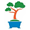 Vivero Kaavoty