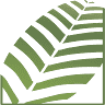 Vivero Palmar