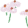 Vivero Pocochay Ltda.