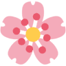 Kosmetický salon Vivijana