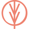 Vivo Chiropractic