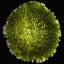 Moldavite Museum