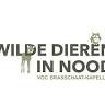 VOC Brasschaat - Kapellen