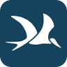 Netherlands Bird Protection