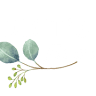 Voigt Flowers