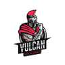 Vulcan Pipe & Supply, LLC