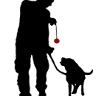 dog training