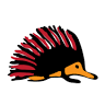 Wellington Aboriginal Corporation Health Service