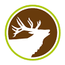 Jagd & Outdoor Waffen Huber