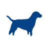 Wagga Wagga Veterinary Hospital