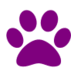 Waggs Bed & Breakfast and Home Visit Service