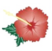 Waikiki Dental