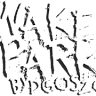 Wakepark Bydgoszcz