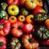 Waldingfield Farm-Organic