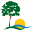 Forest Solar Home