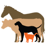 Walkersville Veterinary Clinic