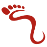 WalkWell Shoes
