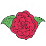 Wally's Barber Shop