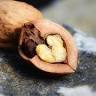Walnut Holdings Ltd