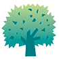 Walnut Medical Services