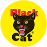 Warrenton Wholesale Fireworks Black cat