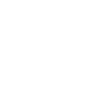 The Wassi Group