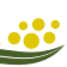 Wattle Hill Care