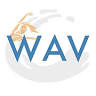 WAV Physical Therapy & Movement