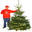 Weihnachtsbaum Hamburg