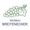 Franz Breitenecker