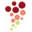 Dr. Biers Weinhandel