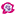 Weiße Rose Textilpflege