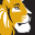 Wellington Security Systems