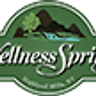 Wellness Springs, Natural Health Care, Holistic Day Spa and The Wellness Studio