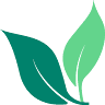 Wellness Perth Natural Medicine