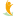 Wellspring Pediatrics & Walk-In Clinic